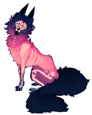 Gnash Dog