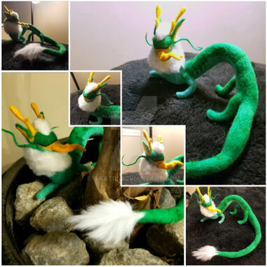 Dragon Cccat