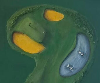 The Course